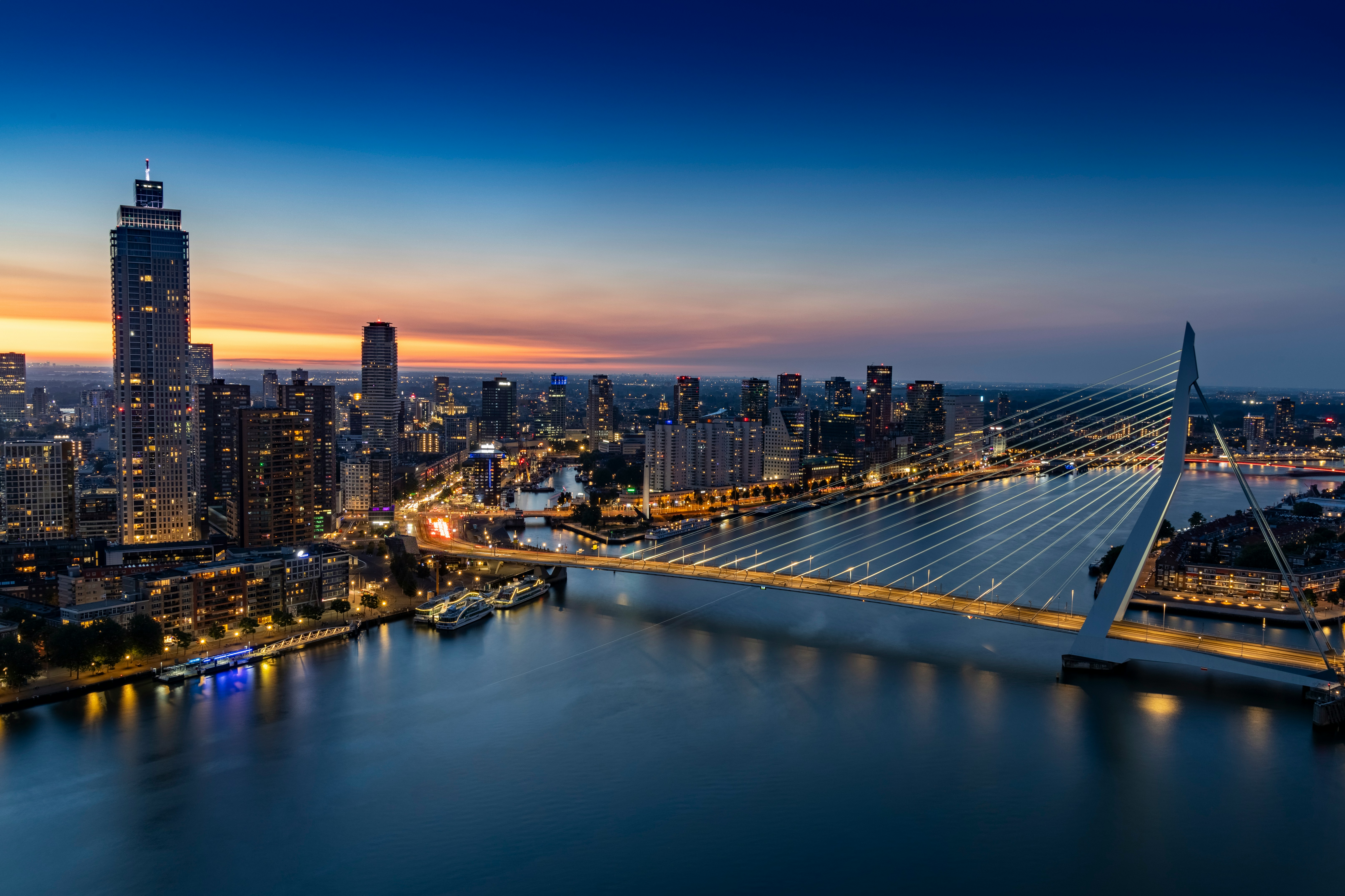Rotterdam Erasmusbrug bij avond